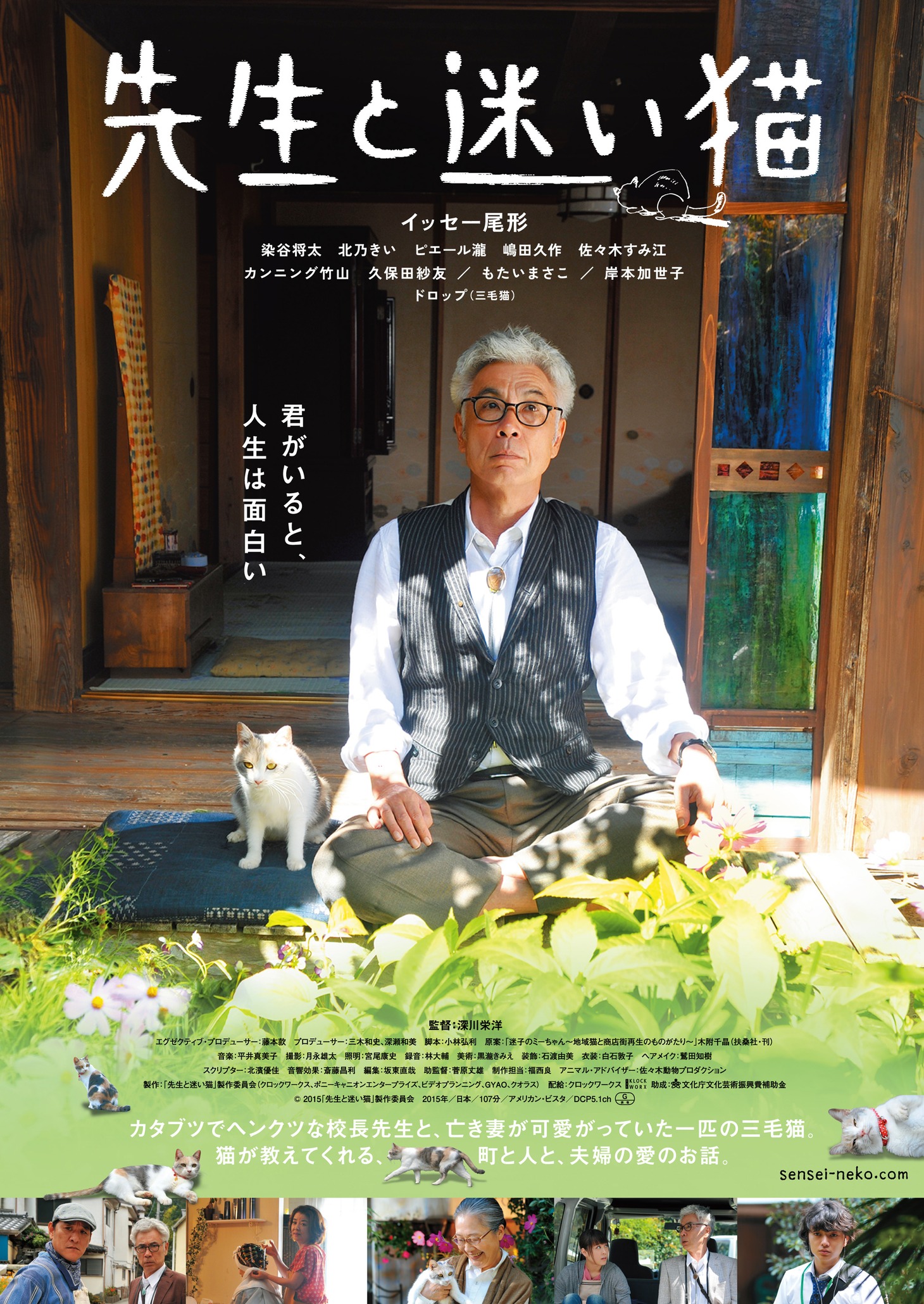 映画「先生と迷い猫」ポスタービジュアル (c)2015「先生と迷い猫」製作委員会