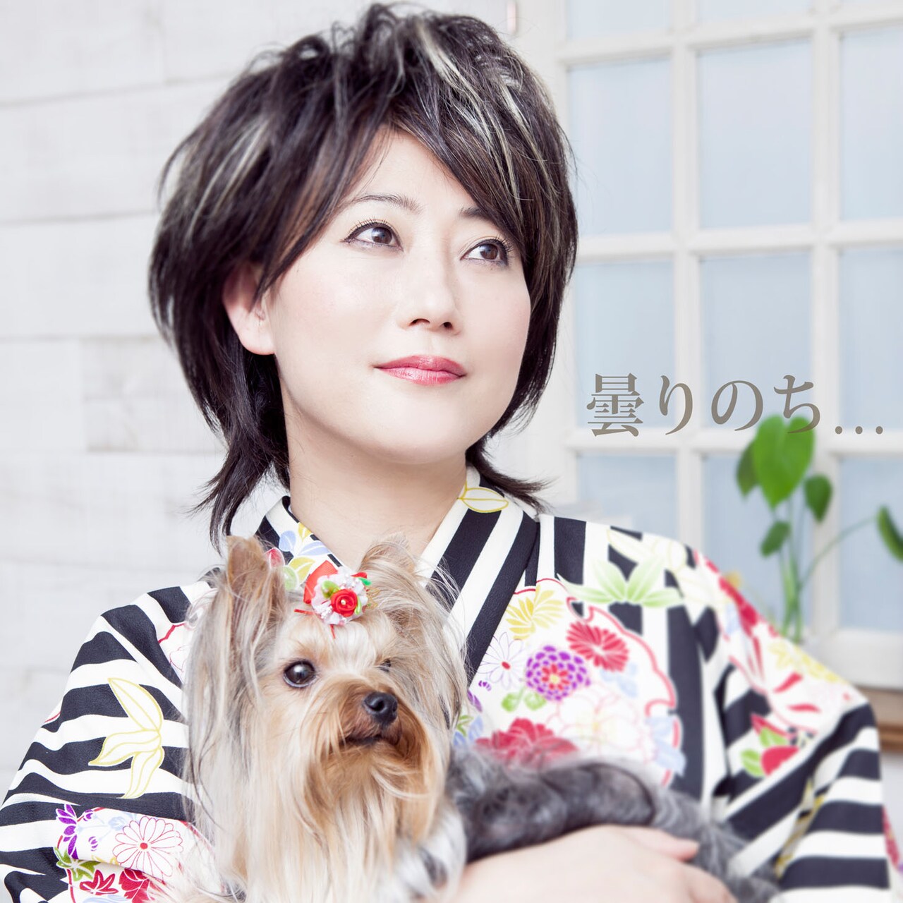 芸能生活50周年水谷千重子が音楽活動に本腰、約3年ぶり新曲は「曇りのち…」