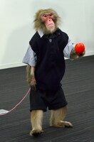 ゆりありく・りく