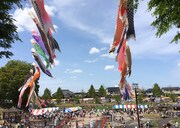 「第26回うしく鯉まつり」の様子。