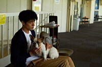 「グッド・ストライプス」 (c)2015「グッド・ストライプス」製作委員会