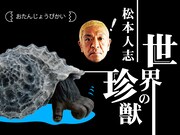 「松本人志 世界の珍獣 第一弾」イメージビジュアル (c)おたんじょうびかい