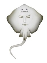 「松本人志 世界の珍獣 第一弾」の1種「オトコマエイ」。(c)おたんじょうびかい