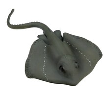 「松本人志 世界の珍獣 第一弾」の1種「オトコマエイ」。(c)おたんじょうびかい