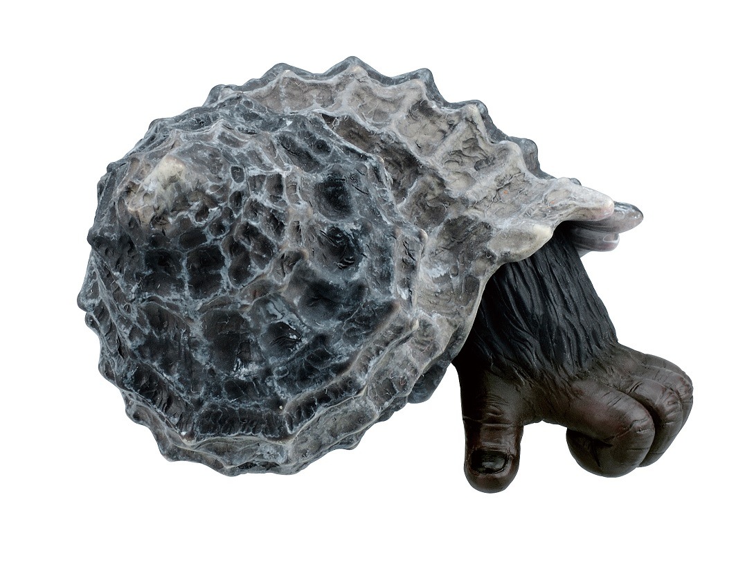 「松本人志 世界の珍獣 第一弾」の1種「ヤドゴリ」。(c)おたんじょうびかい