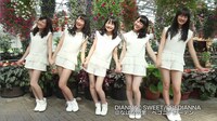 東海版に出演するDIANNA☆SWEET。