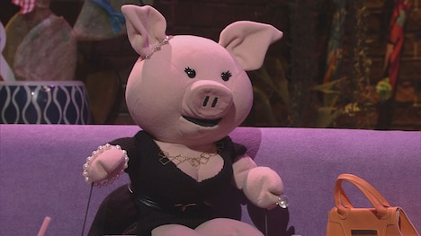 ゲストはブタのぬいぐるみとしてインタビューに応える。(c)NHK