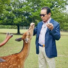 タモリが鹿と戯れ、宮大工に“弟子入り”「ブラタモリ」奈良後編