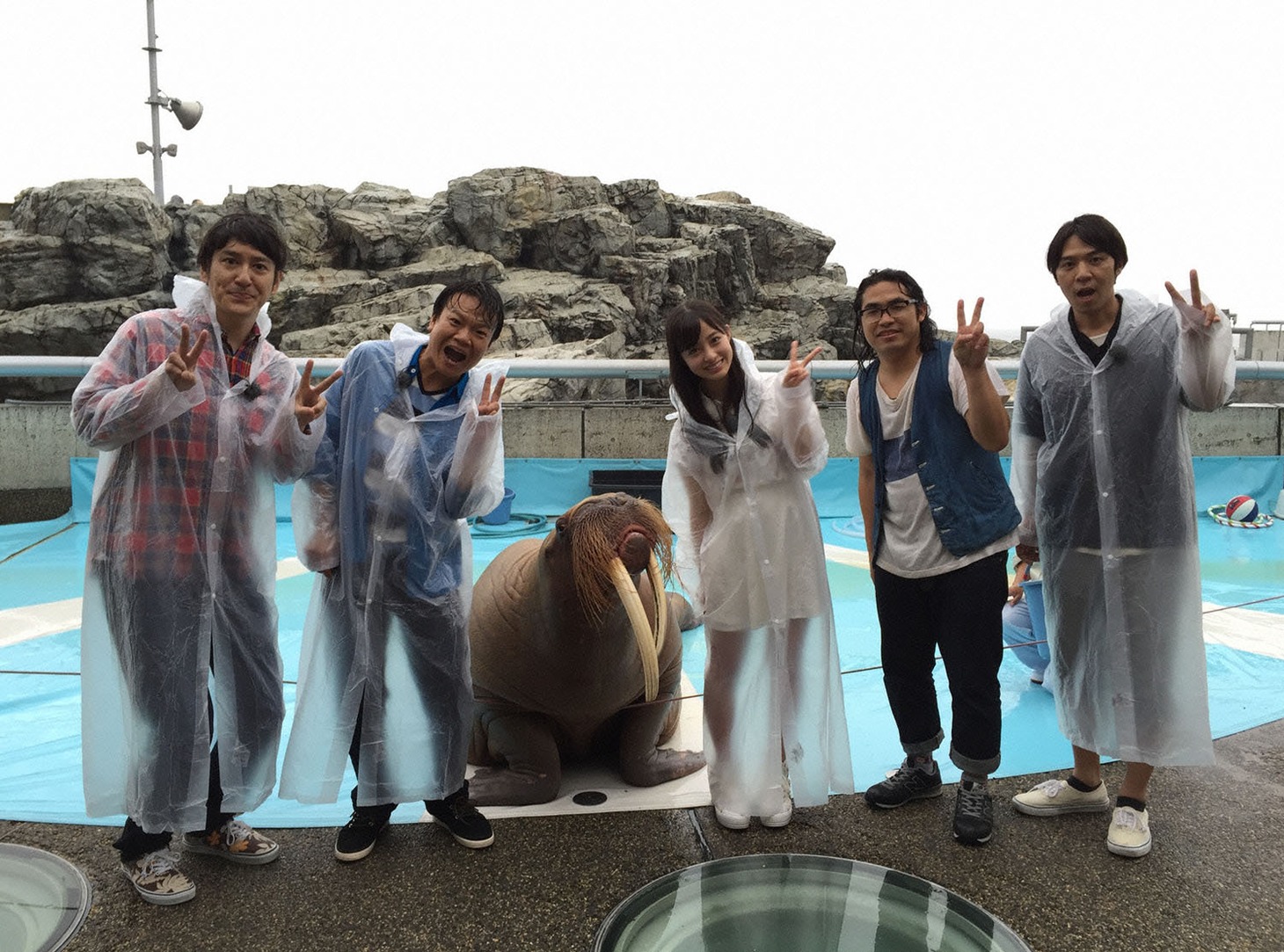 「笑神様は突然に…人気チームにアノ人がやって来た2時間スペシャル」チーム動物好き (c)日本テレビ