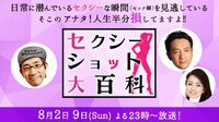 「セクシーショット大百科」メインビジュアル