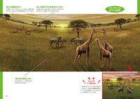 「ココリコ田中×長沼毅presents 図解 生き物が見ている世界」の1ページ。