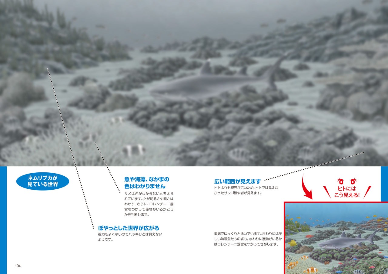 「ココリコ田中×長沼毅presents 図解 生き物が見ている世界」の1ページ。