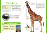 「ココリコ田中×長沼毅presents 図解 生き物が見ている世界」の1ページ。