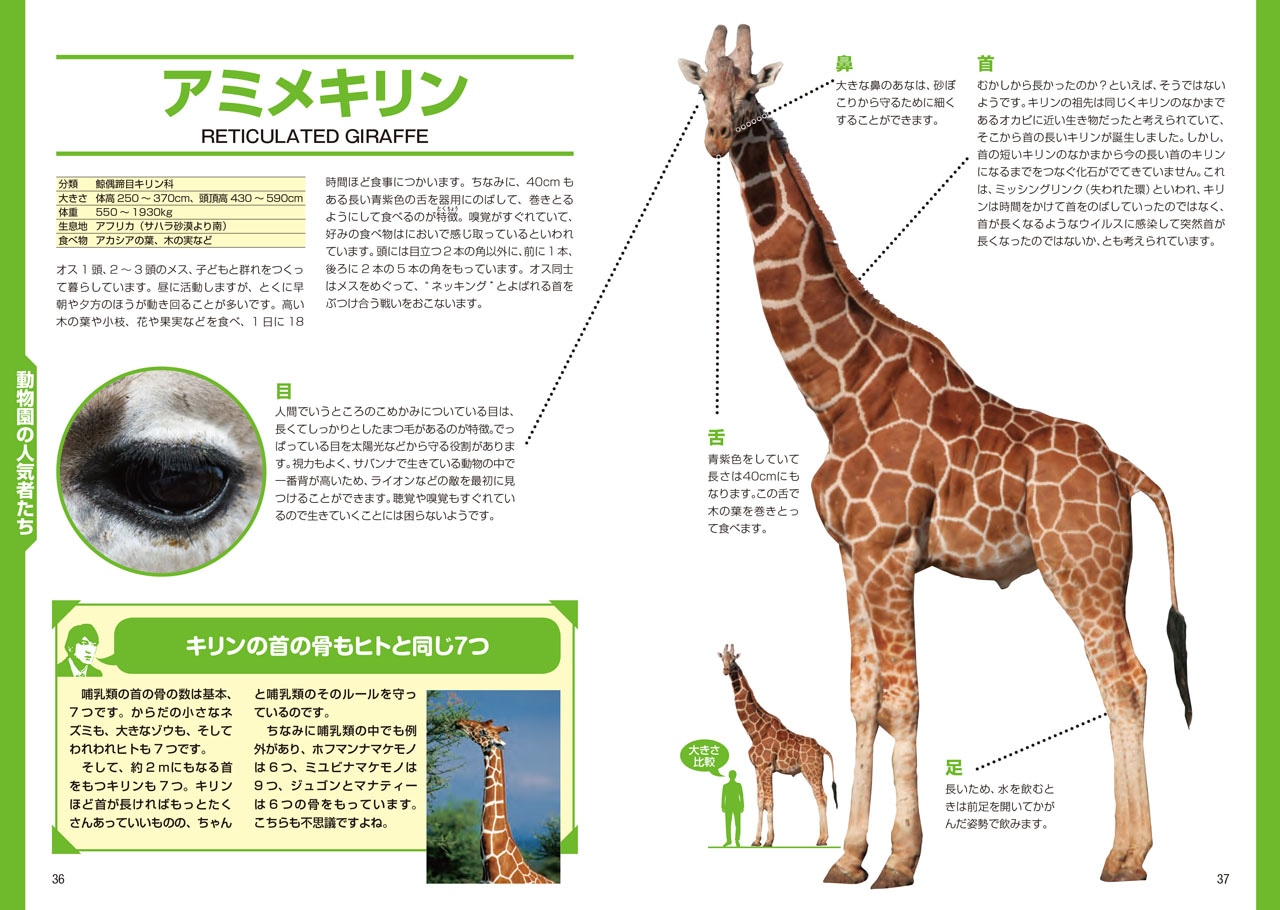 「ココリコ田中×長沼毅presents 図解 生き物が見ている世界」の1ページ。