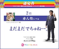 「アナウンサー検定」のプレイ画面。