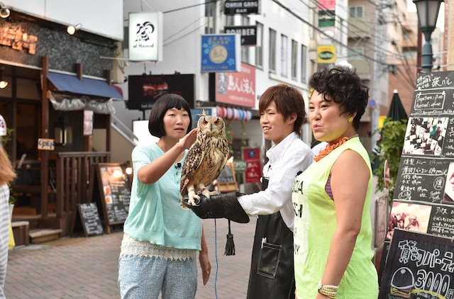 「トコトン掘り下げ隊！生き物にサンキュー!!」でフクロウとふれあう、たんぽぽ川村（左）、フォーリンラブ・バービー（右）。(c)TBS