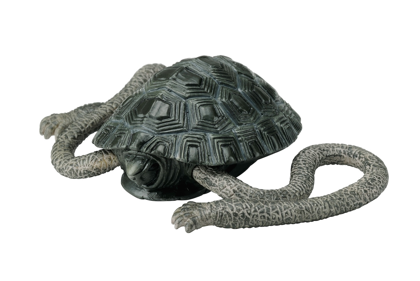 「世界の珍獣 第二弾」テナガガメ (c)おたんじょうびかい