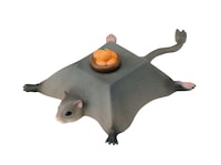 「世界の珍獣 第二弾」ダンランムササビ (c)おたんじょうびかい