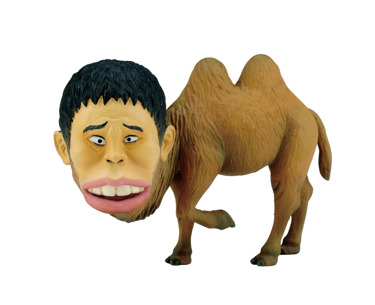 「世界の珍獣 第二弾」シークレットのフタコブハマダ。(c)おたんじょうびかい