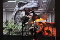 「フロント・プロジェクション」の展示作品。