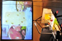 「フロント・プロジェクション」の展示作品。