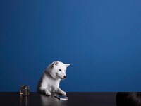 白戸家のお父さん