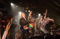 禿夢のライブの様子。