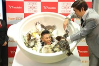 ネコ鍋から顔を出す柳沢慎吾。