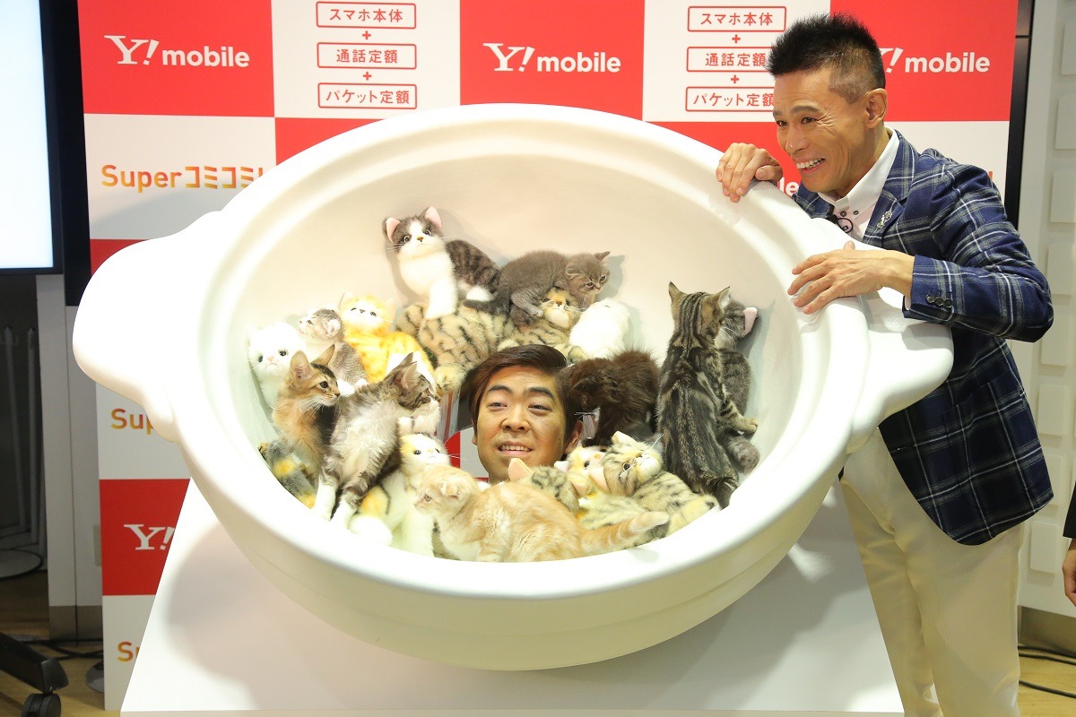 ネコ鍋から顔を出すゆうたろう。