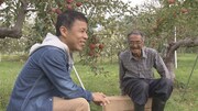 「プロフェッショナル 仕事の流儀 10周年SP」のワンシーン。(c)NHK