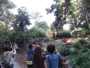 「RGと廃墟をめぐり廃墟あるあるを一個だけ見つけるバスツアー」の様子。