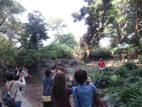 「RGと廃墟をめぐり廃墟あるあるを一個だけ見つけるバスツアー」の様子。