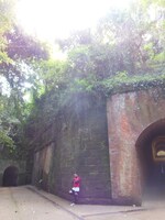 「RGと廃墟をめぐり廃墟あるあるを一個だけ見つけるバスツアー」の様子。