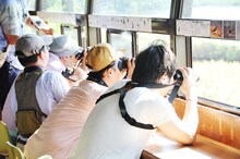 バードウォッチングを夢中で楽しむライセンスたち。