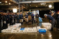 「タウンワーク」新CM「魚河岸編」の撮影中の様子。