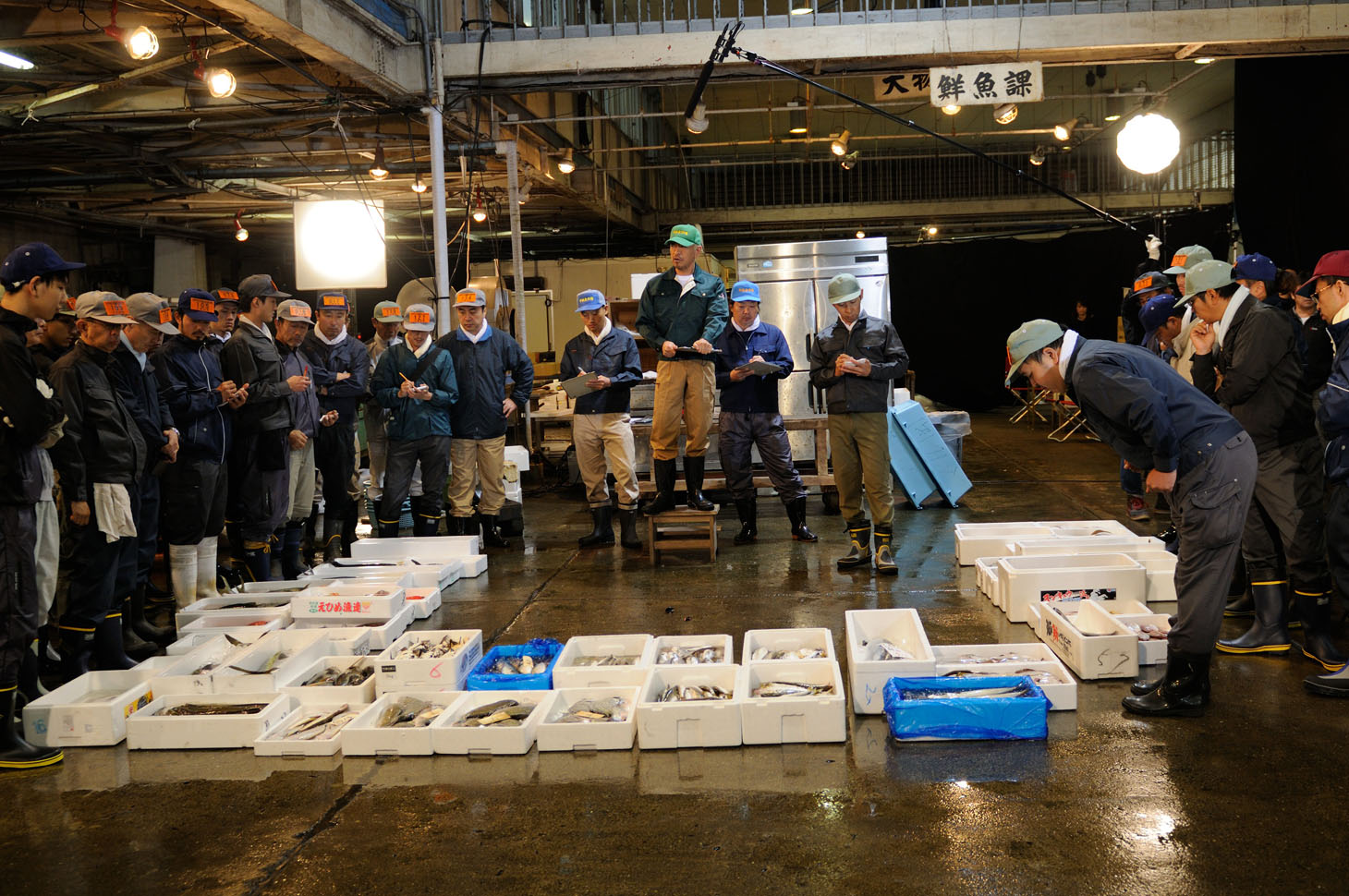 「タウンワーク」新CM「魚河岸編」の撮影中の様子。