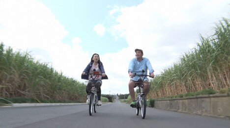 サトウキビ畑の間をサイクリングする椿鬼奴、グランジ佐藤（左から）。(c)読売テレビ