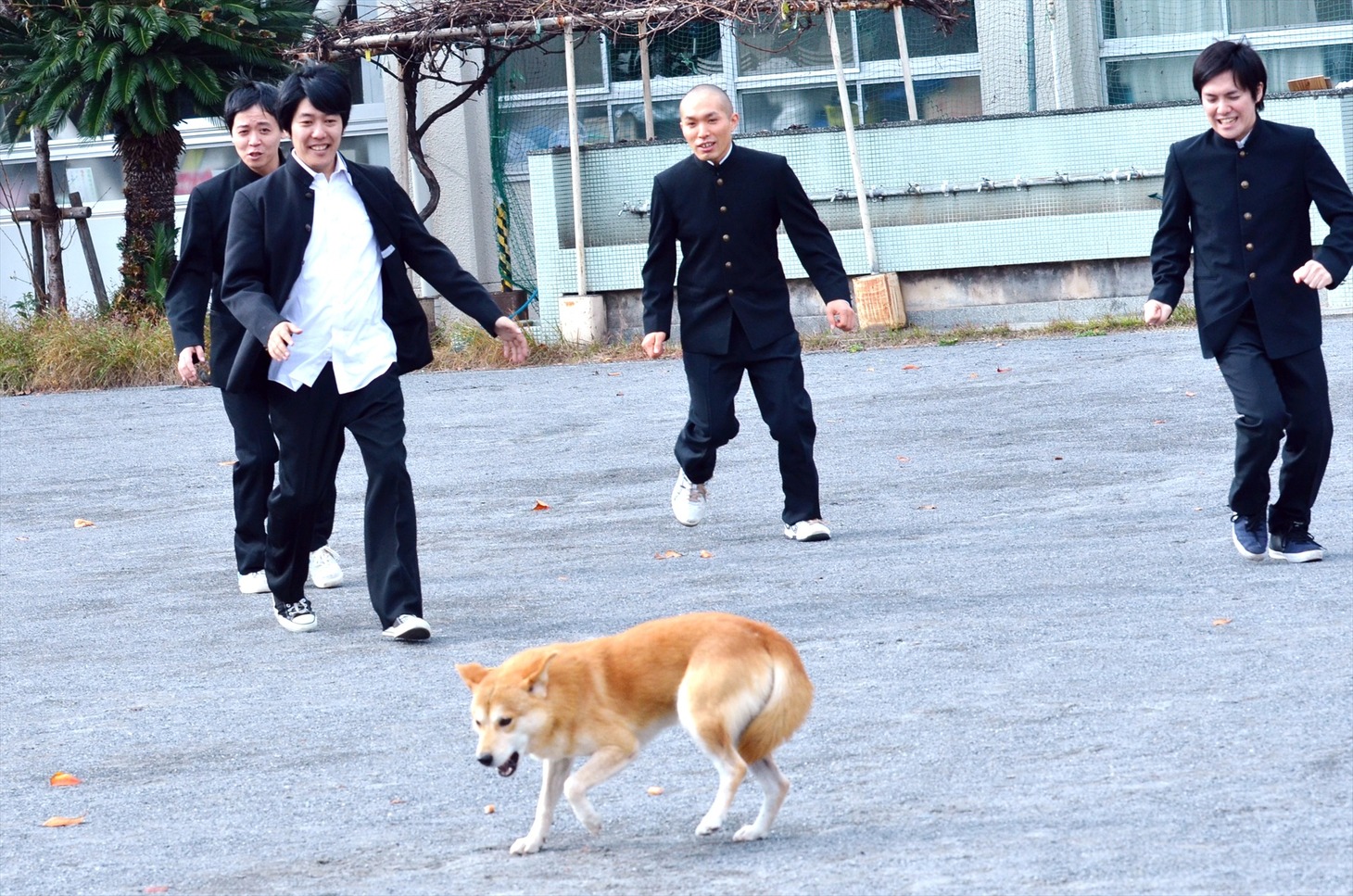 校庭に放たれた犬を追いかける（左から）うしろシティとラブレターズ。