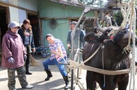 「はじめてのファームステイ～うまいを探せ！畑のごちそう食材～」のワンシーン。(c)日本テレビ