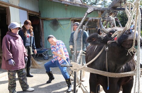 「はじめてのファームステイ~うまいを探せ!畑のごちそう食材~」のワンシーン。(c)日本テレビ