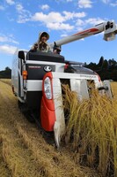 コンバインに乗車する菊地亜美。(c)日本テレビ