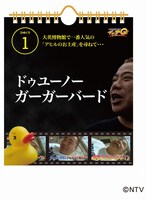 「世界の果てまでイッテQ！エブリデイ出川語録」 (c)日本テレビ