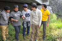 川原で野草を採取する様子。