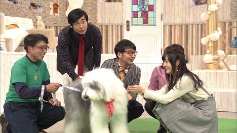 「ネコもワンコも大集合 年末はこれでモフモフ！スペシャル」に出演するハマカーンら。(c)NHK