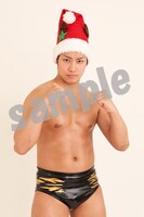 てのりタイガー渡瀬のサンプル写真。