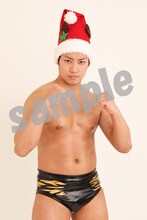 てのりタイガー渡瀬のサンプル写真。