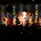 とにかく明るい安村&阿佐ヶ谷姉妹、恵比寿★マスカッツ1stライブ盛り上げる