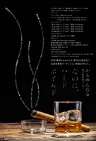 「かもめんたる第17回単独ライブ『なのに、ハードボイルド』」チラシ（裏面）