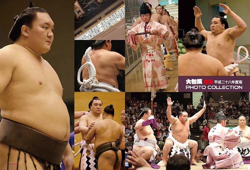 「大相撲ぴあ」の収録内容。