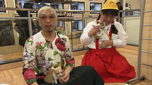 子犬と触れ合いメロメロになる松本人志とさだ（左から）。(c)ABC